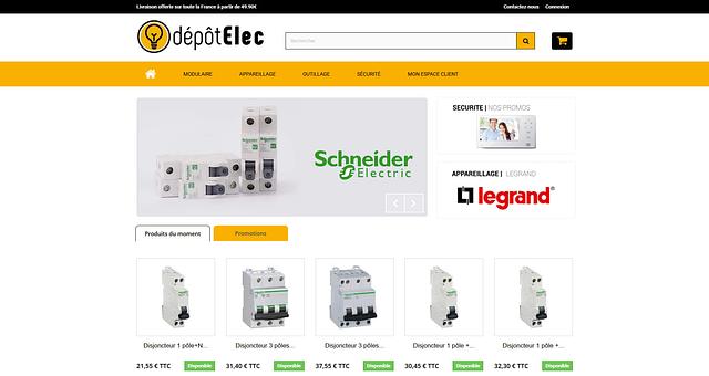 DepôtElec (E-commerce) par Kalivins