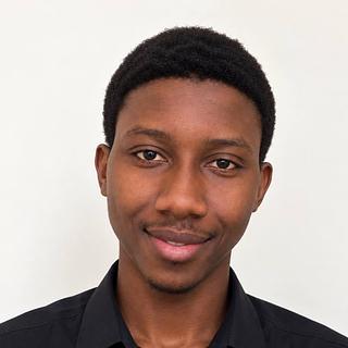 Amara Diakite Développeur WordPress