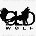 WolfCompany Agence web