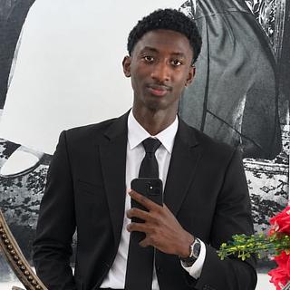 Arona Camara Intégrateur web