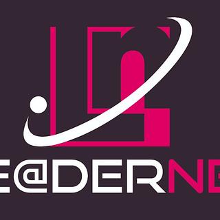 Leadernet Agence web