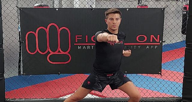 Fighton par Jérôme Dapot