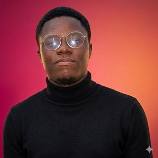 Josué Salomon Houndenou Développeur web