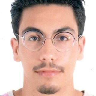 Fedi Hassin Développeur IA