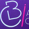 Ines Besnicanin Comptable
