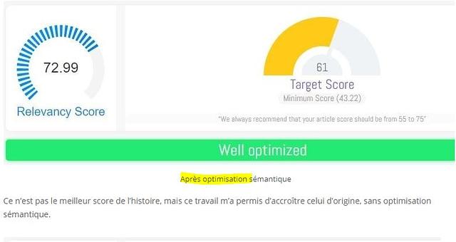 Optimisation SEO article blog par glgdev