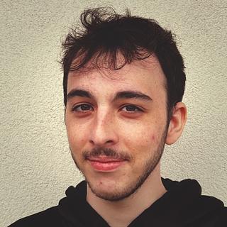 Mathieu Chenal Consultant SEO