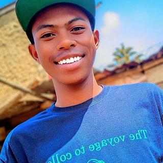 Hajamahefa Herinomena Intégrateur web