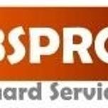BSPro