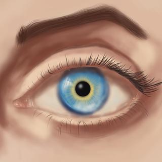 Jr Design Joffrey Ribeiro Graphiste spécialisé en création de logo