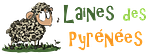 Laine des pyrenées