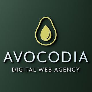 Wissam Abed Développeur web