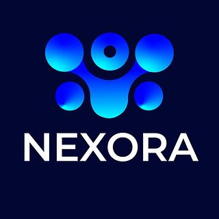 nicolaspontit Développeur web