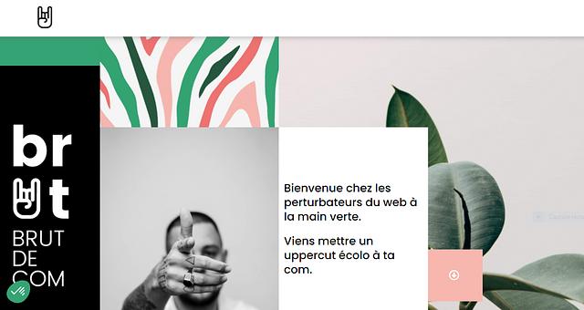 Développeur Web par Stéphane  Vivier