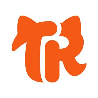 Théo Rochet Développeur web