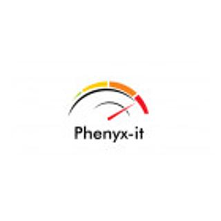 PHENYX-IT Spécialiste stockage et sauvegarde