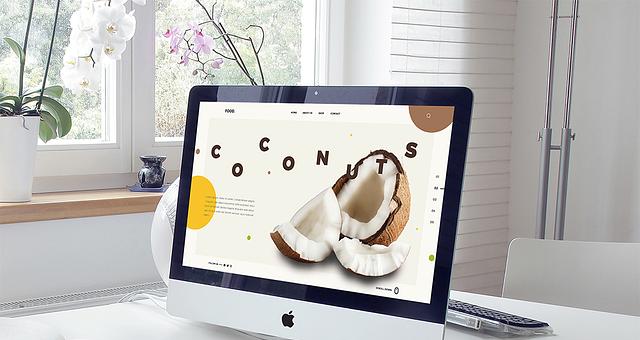 Web design par Matthieu Rousteau