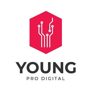 youngpro Agence web