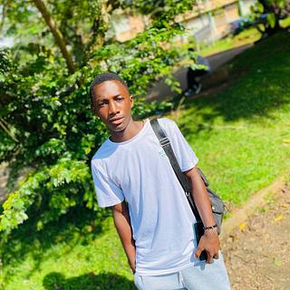 Armel Demanou Développeur web