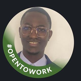 Alioune Gaye Développeur Python