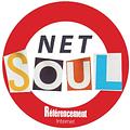 Netsoul Agence SEO
