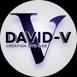 David Vilain Développeur WordPress