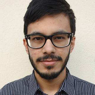Daniel R. Consultant SEO