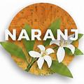 Naranj Développeur web