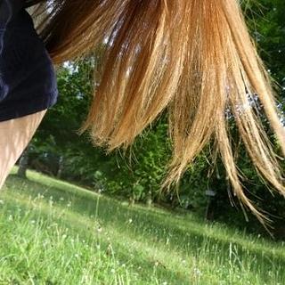 Céline Le Troher Développeur WordPress