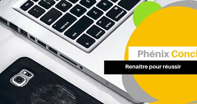 Mission de consultant  par zinedinep