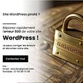 Ycolog Ibn Développeur e-commerce