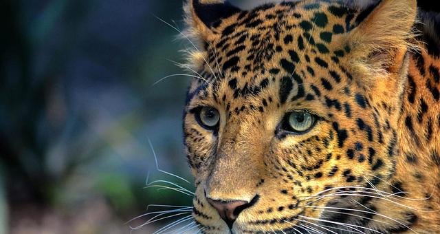 Rédaction d'articles par Christine Hochet