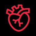 crushcode Agence web