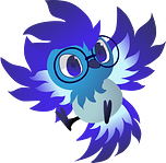 Cinquin Andy Développeur Freelance