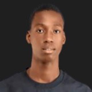 Précieux Mehinto Expert Photoshop