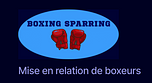 BOXING SPARRING