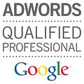 Expert_Google_Adwords_depuis_2002 Consultant Google Ads
