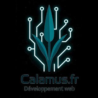 HerveM1 Développeur web
