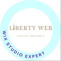 Marius Saurel Expert Wix