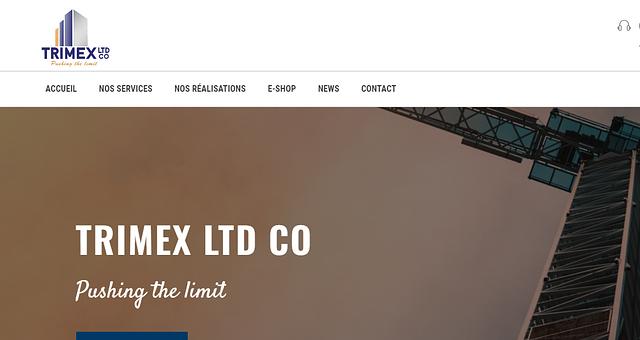 Site web TRIMEX LTD CO par Jean Pierre Kouamo