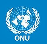 Organisation des nations unies