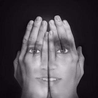 Darcy Rédacteur web