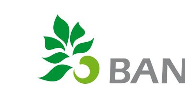 Socredo par Akram Amouri