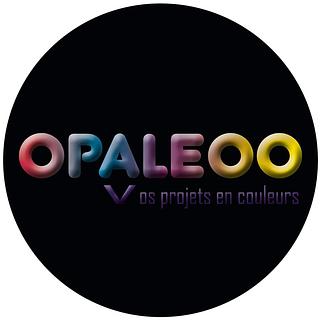 Julie Lelong Graphiste spécialisé en charte graphique