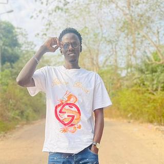 Alhouseny  Diallo  Développeur e-commerce