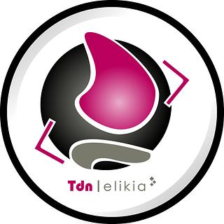 TDN-Elikia Agence web