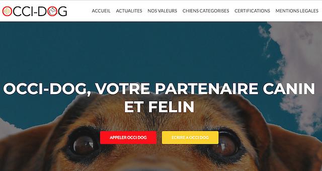 Site web Educateur canin par Lionel Martin