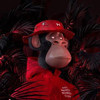 Rayane Belkacem Webdesigner