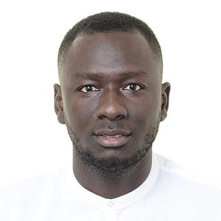 Pape Wade Développeur IA