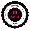 bigappli Développeur mobile